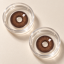 Lentilles