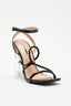 Talons ANITA