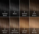 Service de COLORATION