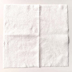 Lot de 20 serviettes compressées