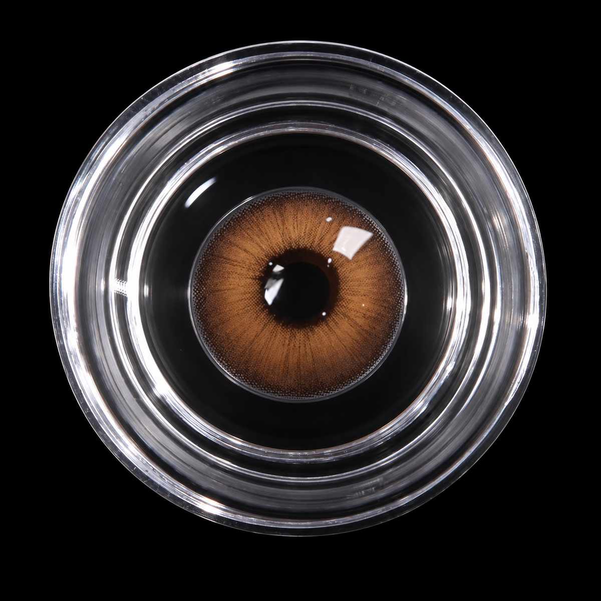 Détail de la lentille marron clair dans un récipient transparent